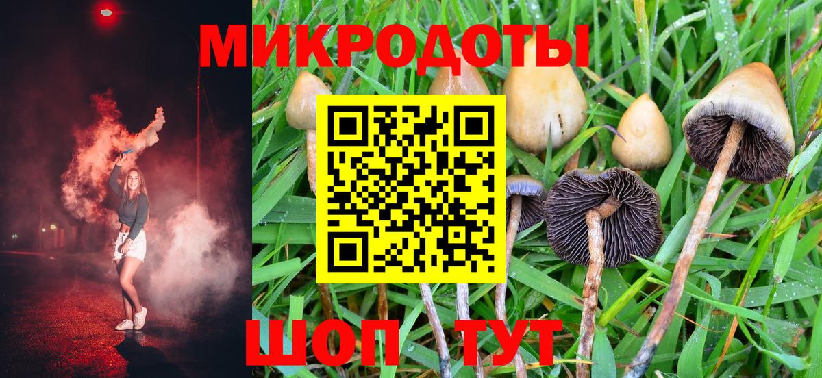 Псилоцибиновые грибы мухоморы Ялуторовск