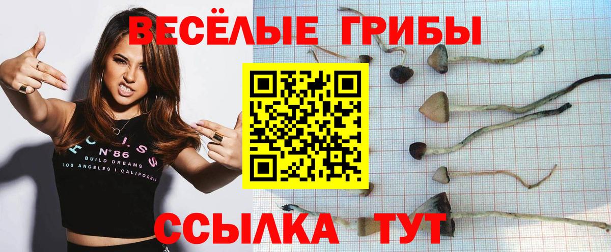 Ялуторовск  Галлюциногенные грибы GOLDEN TEACHER  Вход с VPN 